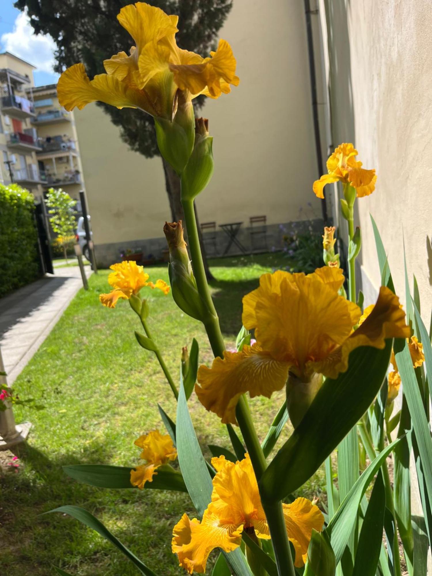 Apartamento Dalu Lucilla - Private Car Park 15 Minutes To The Center Florencia